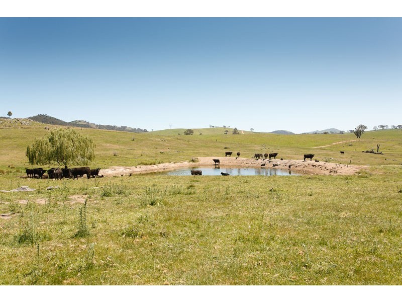 Lot 12 Horseshoe Road, Mullion NSW 2582