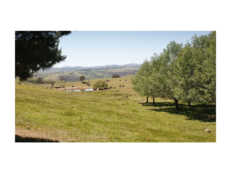 Lot 12 Horseshoe Road, Mullion NSW 2582