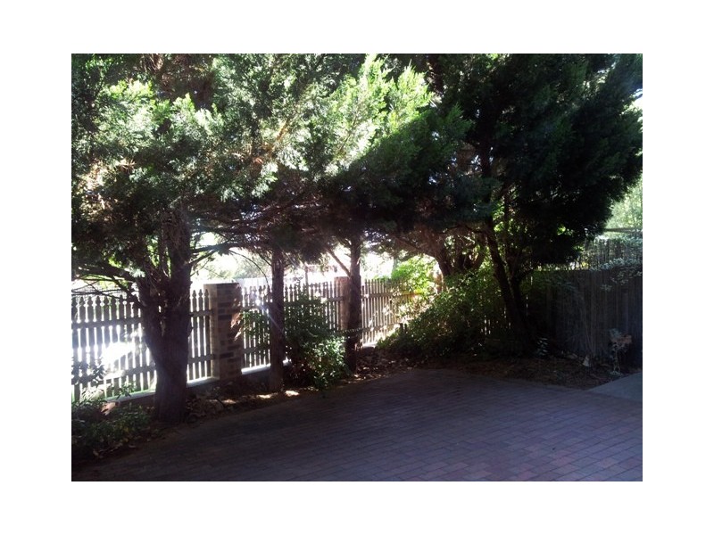 29/3 Everard Street, Palmerston ACT 2913