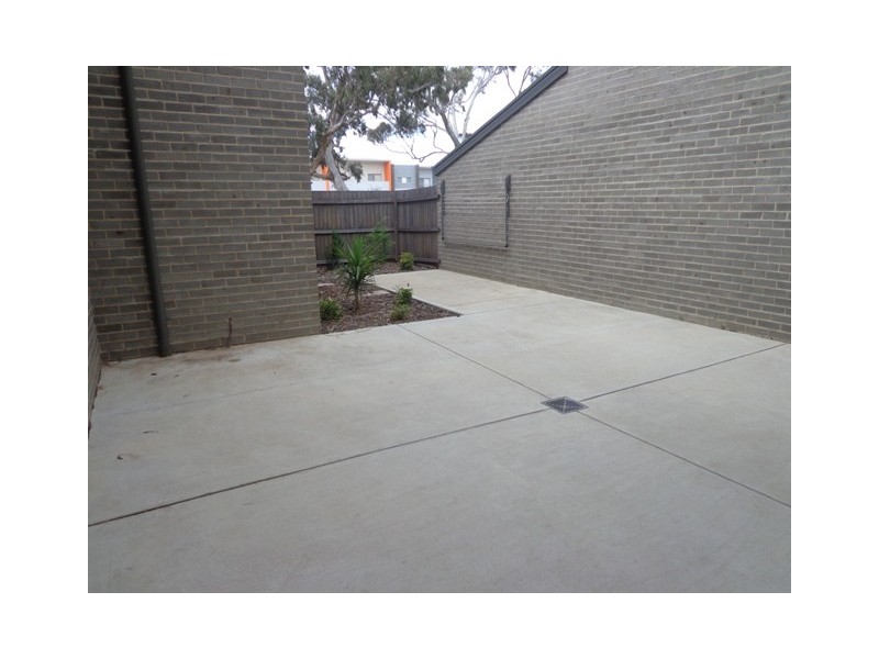 49 Sapling Street, Harrison ACT 2914