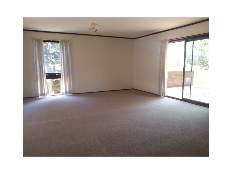 37 Springvale Drive, Weetangera ACT 2614