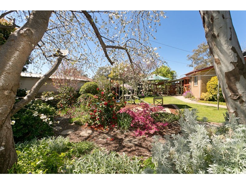 24 Shumack Street, Weetangera ACT 2614