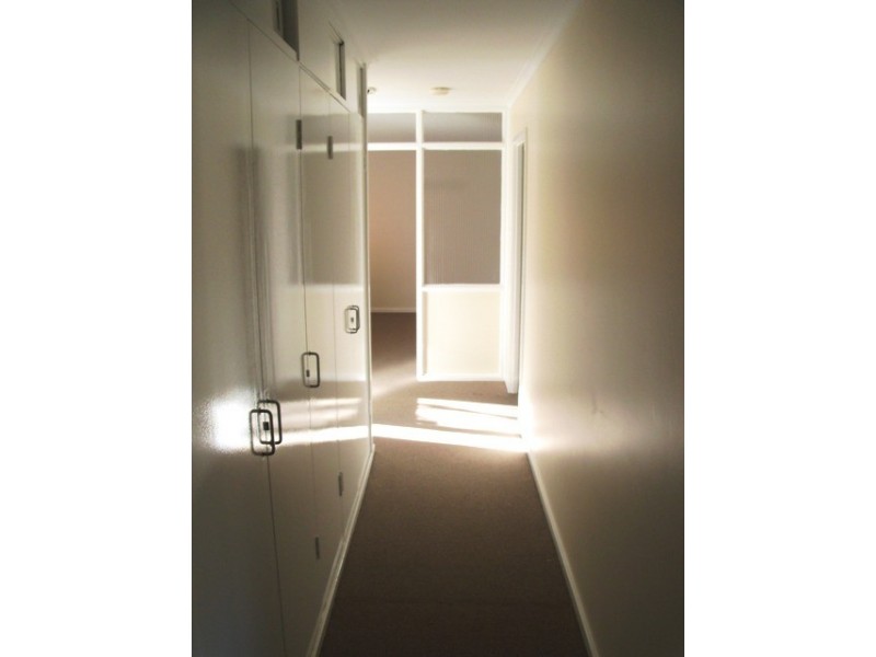 8 Calvert Street, Ainslie ACT 2602