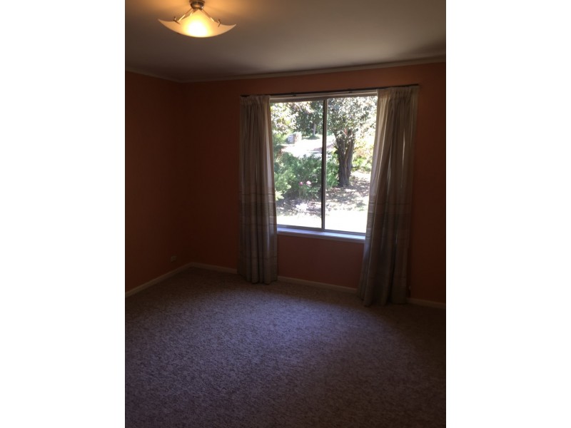 12 Roberts Street, Macquarie ACT 2614