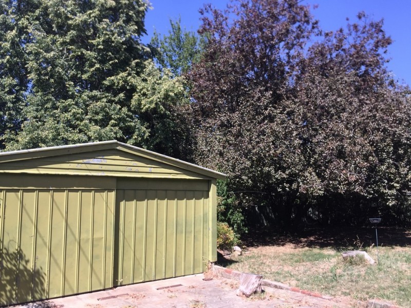 12 Roberts Street, Macquarie ACT 2614