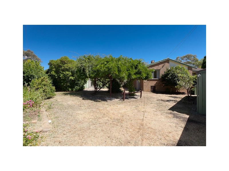 16 Brooks Street, Macquarie ACT 2614