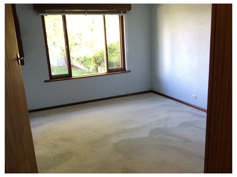 3 Erskine Street, Macquarie ACT 2614