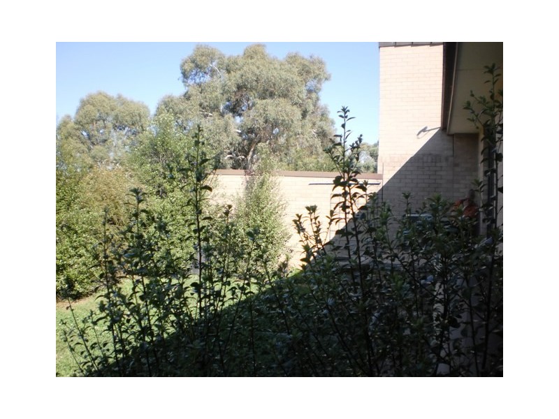 4 Lachlan Street, Macquarie ACT 2614