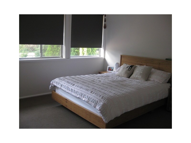 77 Petterd Street, Page ACT 2614