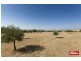 307 Gooromon Ponds Road, Wallaroo NSW 2618