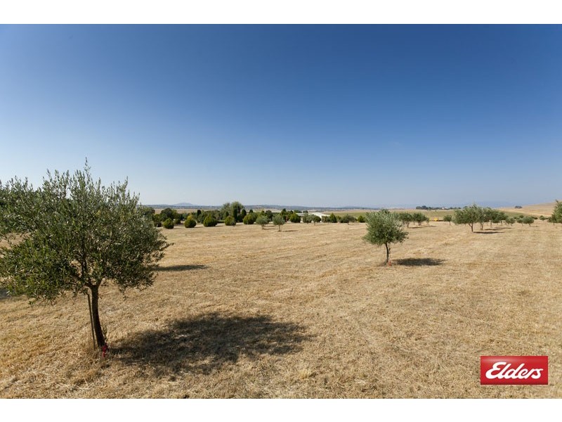 307 Gooromon Ponds Road, Wallaroo NSW 2618