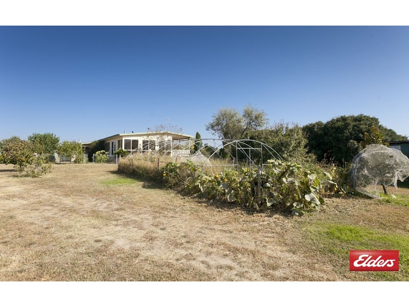 307 Gooromon Ponds Road, Wallaroo NSW 2618