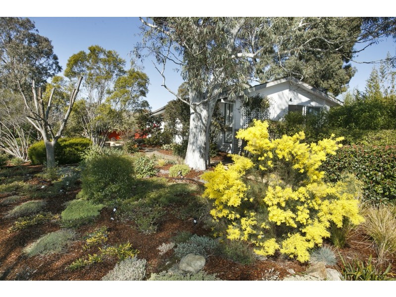 42 Hirschfeld Crescent, Macgregor ACT 2615