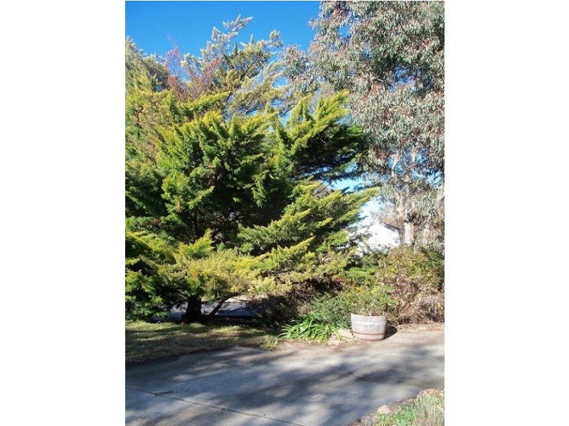 17 Goulburn Street, Macquarie ACT 2614