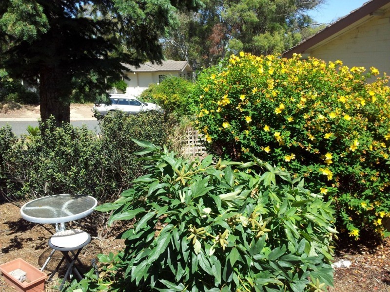 14 Gingana Place, Aranda ACT 2614