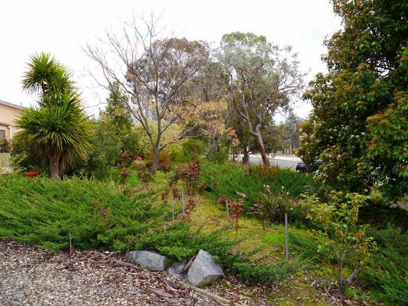 67 Belconnen Way, Weetangera ACT 2614