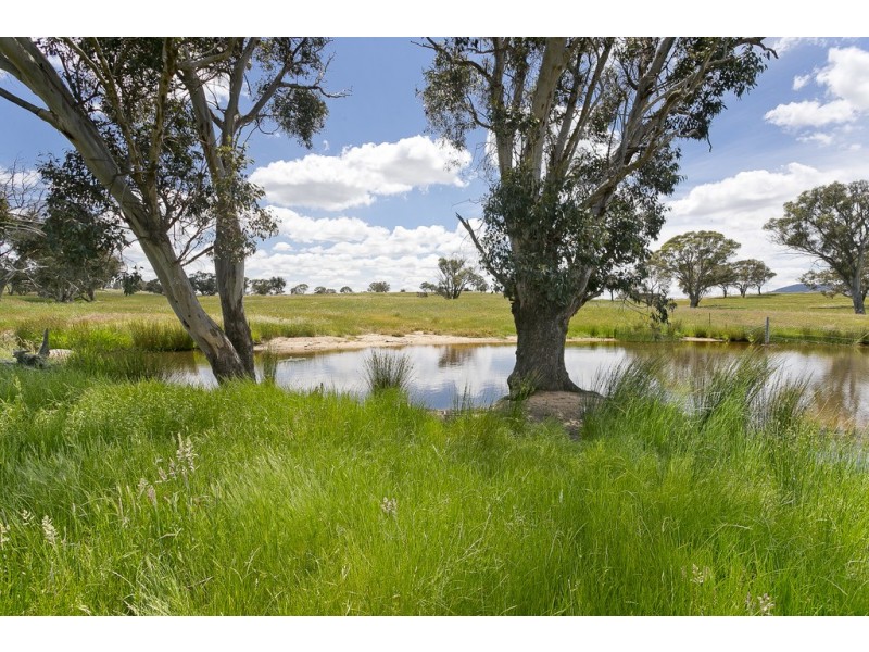 368 Wallaroo Road, Wallaroo NSW 2618