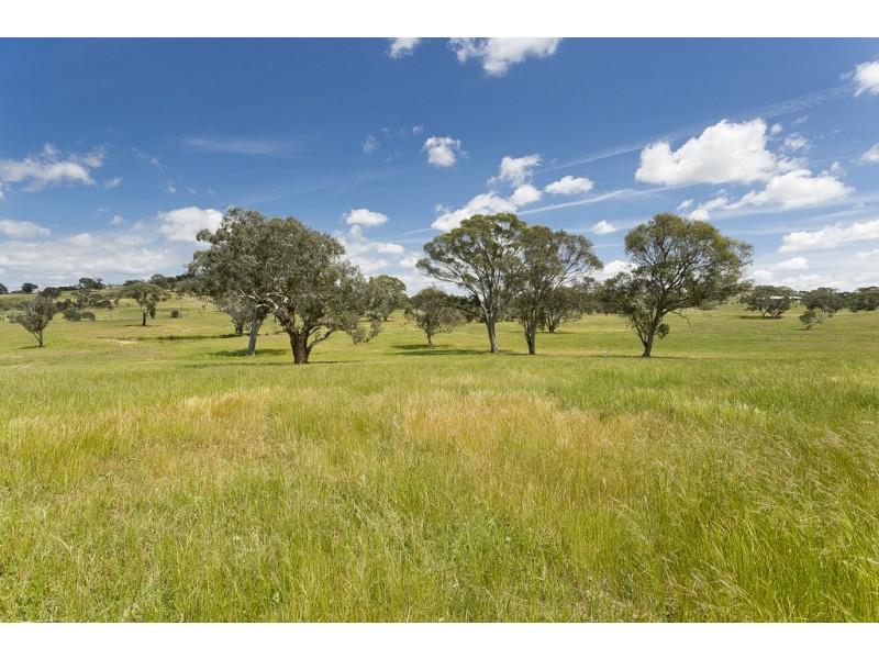 368 Wallaroo Road, Wallaroo NSW 2618