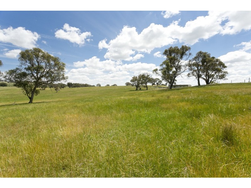 368 Wallaroo Road, Wallaroo NSW 2618