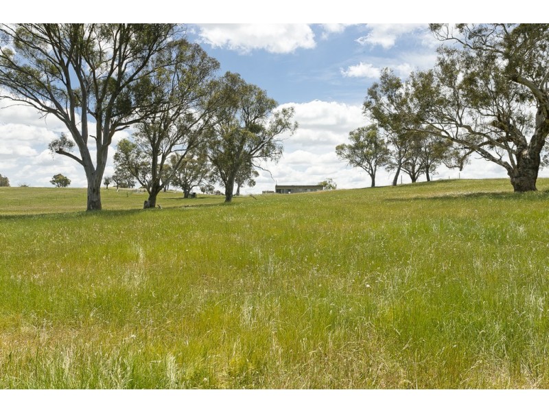 368 Wallaroo Road, Wallaroo NSW 2618