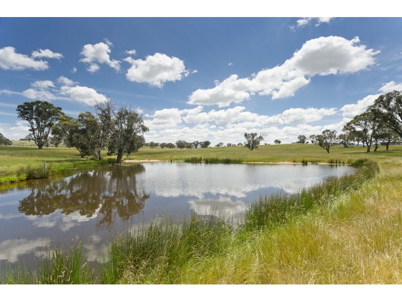 368 Wallaroo Road, Wallaroo NSW 2618