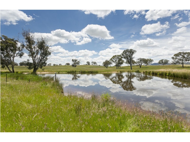 368 Wallaroo Road, Wallaroo NSW 2618