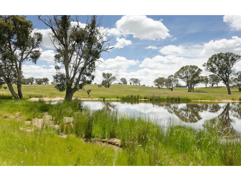 368 Wallaroo Road, Wallaroo NSW 2618