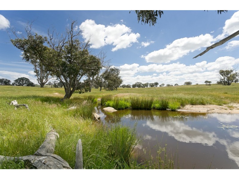 368 Wallaroo Road, Wallaroo NSW 2618