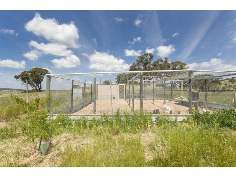 368 Wallaroo Road, Wallaroo NSW 2618