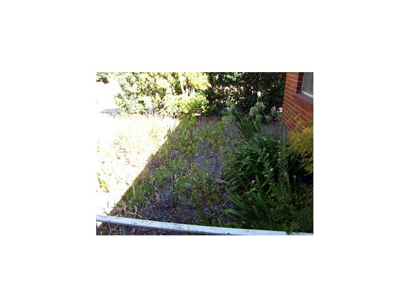 11 Krichauff Street, Page ACT 2614