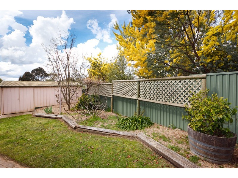 16 Oakes Street, Cook ACT 2614