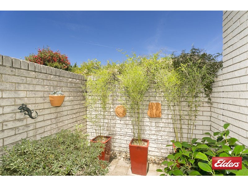 144 Dexter Street, Cook ACT 2614