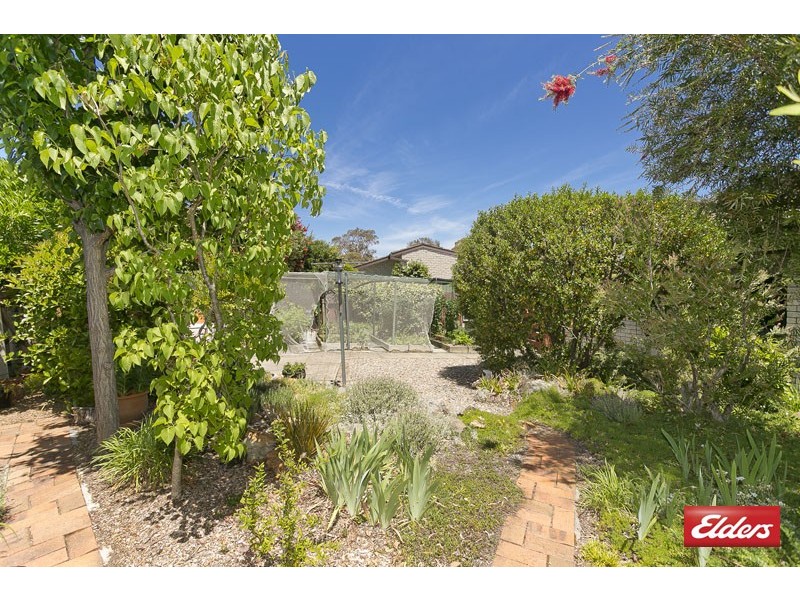 144 Dexter Street, Cook ACT 2614