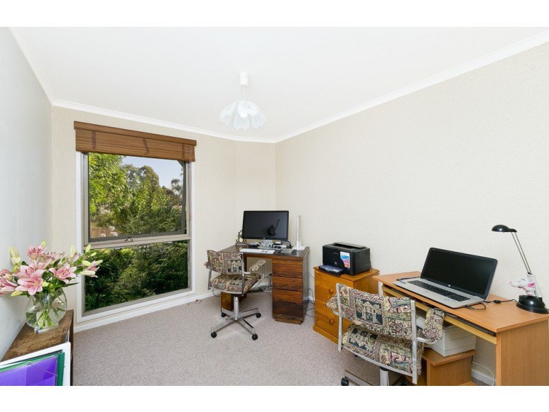 3 Darmody Street, Weetangera ACT 2614