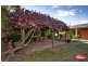 8 Merryville Drive, Murrumbateman NSW 2582