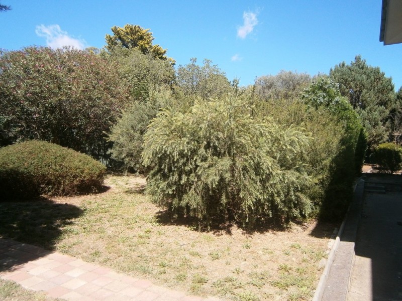 2/1 Henry Street, Cook ACT 2614