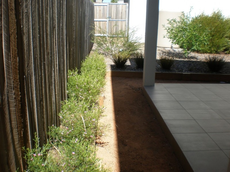 7 Devlin Street, Gungahlin ACT 2912