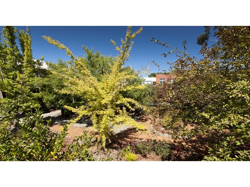 1/8 Howitt Street, Kingston ACT 2604