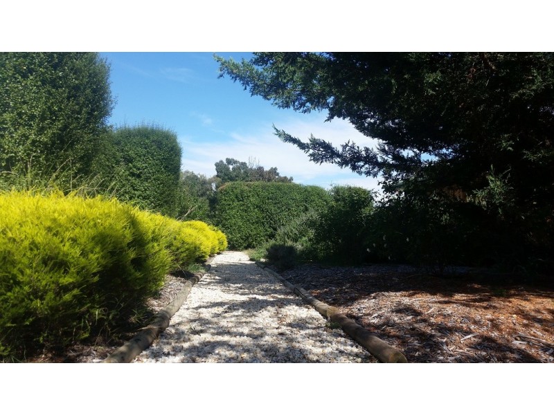 31 Wearing Street, Higgins ACT 2615