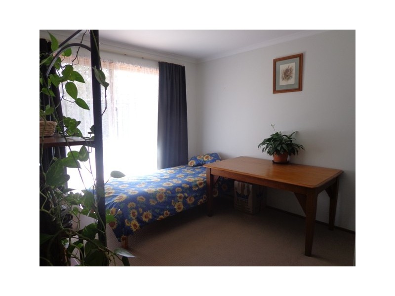 51 Collicott Circuit, Macquarie ACT 2614