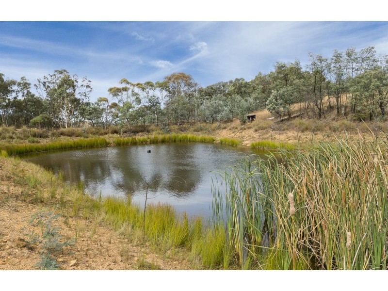 43 Birradilli Lane, Murrumbateman NSW 2582