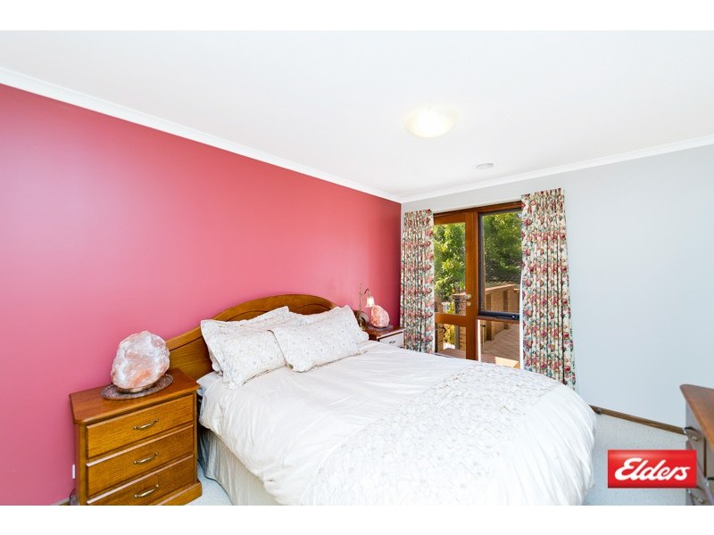 113 Dexter Street, Cook ACT 2614