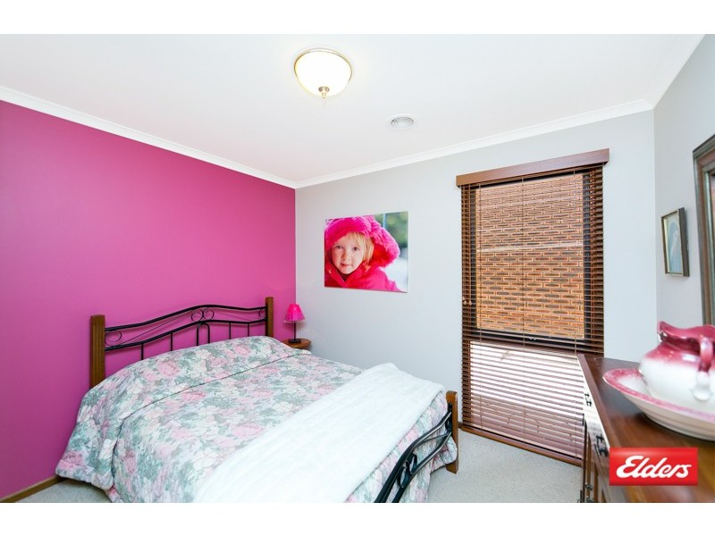 113 Dexter Street, Cook ACT 2614