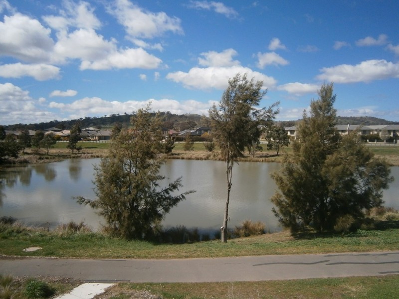 63 Sapling Street, Harrison ACT 2914