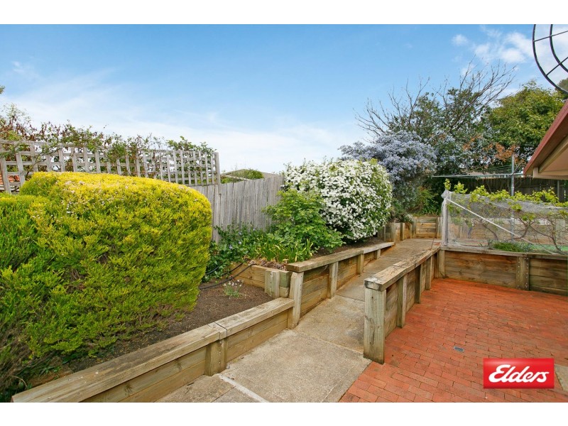 27 Tiptree Crescent, Palmerston ACT 2913