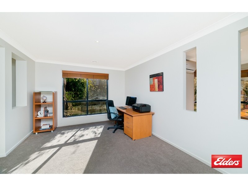 13 Olary Street, Amaroo ACT 2914