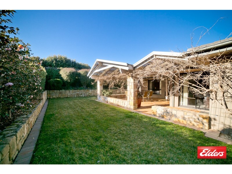 13 Olary Street, Amaroo ACT 2914