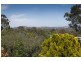 7 Collingridge Street, Weston ACT 2611