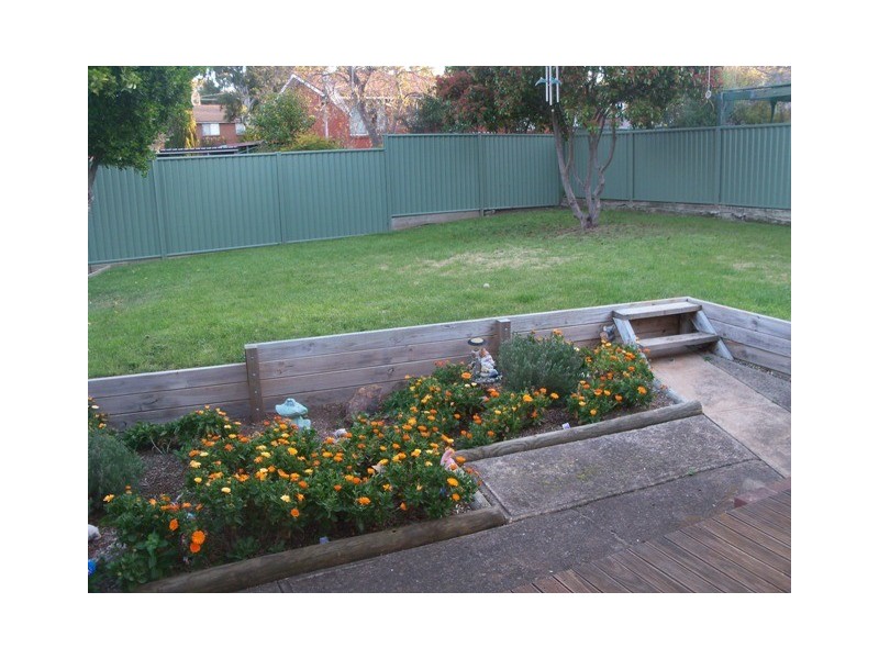 3 De Vis Place, Page ACT 2614