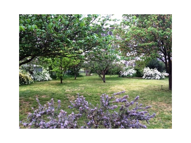 4 Woods Close, Murrumbateman NSW 2582